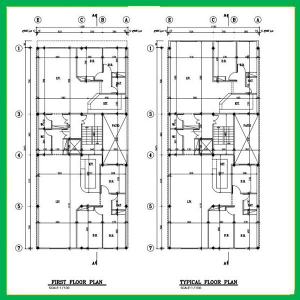 Architectural plan 24*11 south