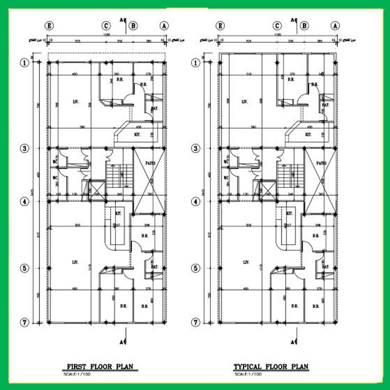 Architectural plan 24*11 south