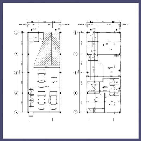 Architectural plan 17*7 south