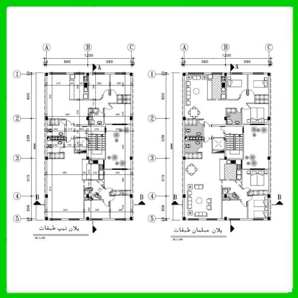 Architectural plan 12*20 south