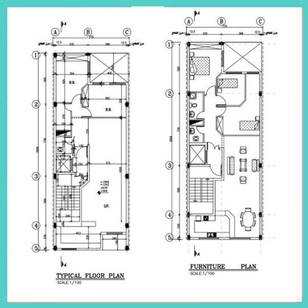 Architectural plan 8*20 north